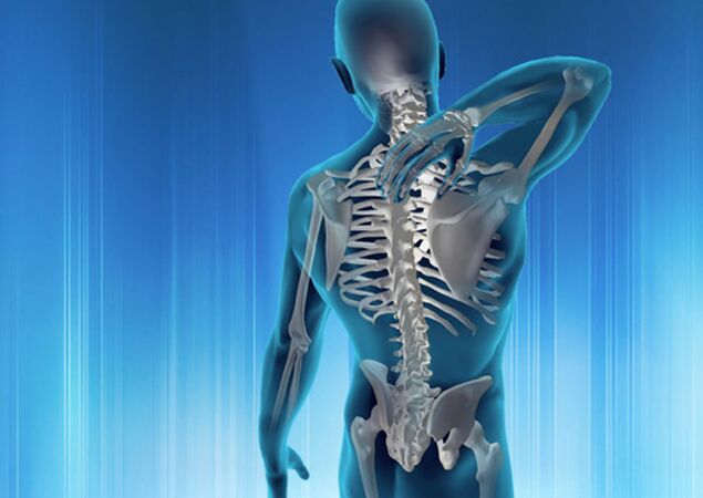 cureyên êşa piştê